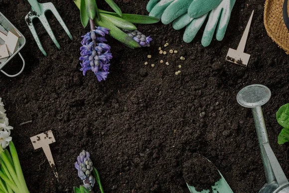Gartenzubehör und Blumen auf Erde